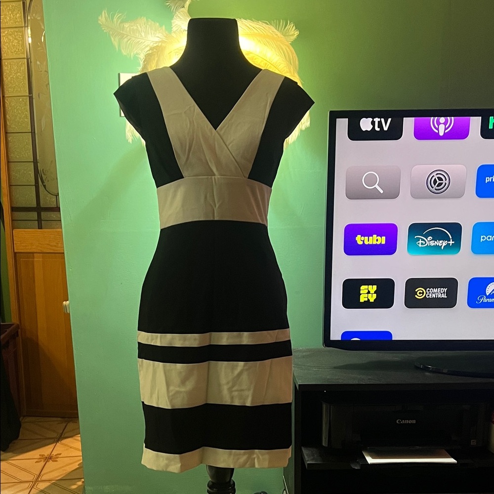 Andrew Marc Black and White Dress